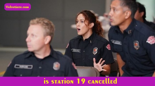 is station 19 cancelled