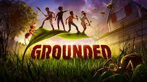  Shared Worlds Online Game in Grounded?