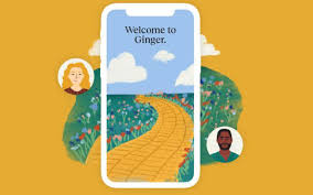 ginger features review