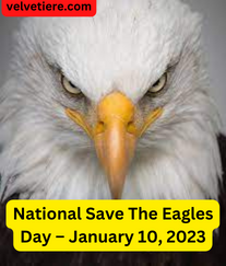 National Save The Eagles Day – January 10, 2023