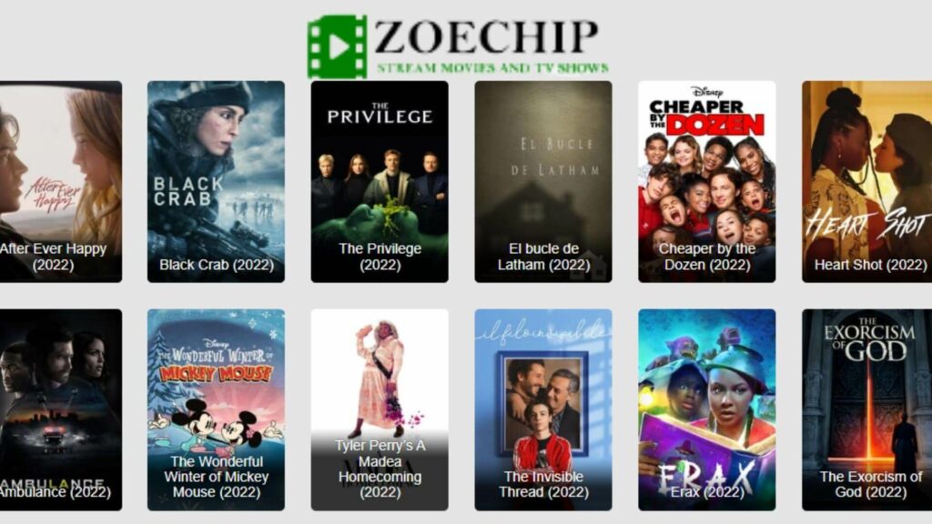 How to Access Zoechip?