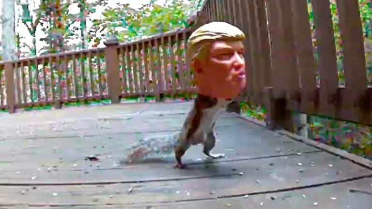 Squirrel Driven “Nuts” By The Lack Of Food In His Trump-Shaped Feeder!