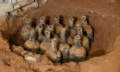 More Bottles of Cherries Found Buried at George Washington's Home